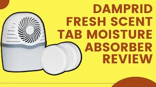 DampRid Fresh Scent Drop-in Tab Moisture Absorber