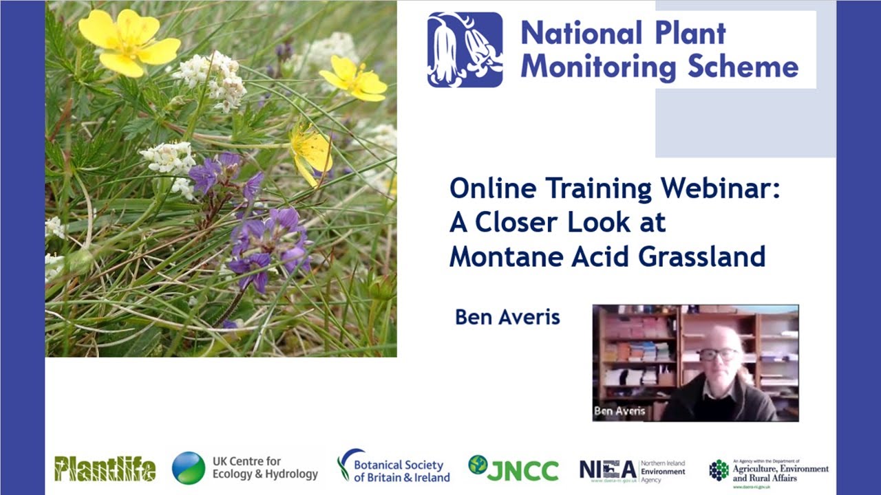 A closer look at Montane acid grassland. Webinar recording