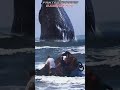 Dare to approach the black whale