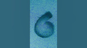 Number 6 #alphabet #3danimation #3dtype #alphabetabcd #learntheabcs #alphabetatoz #typography #abcd