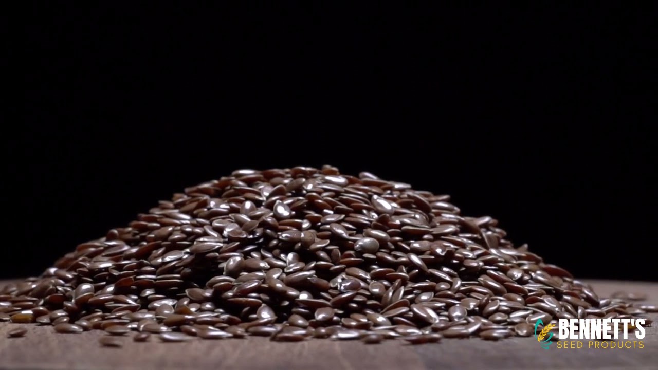 flaxseed YouTube