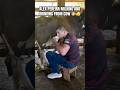 Alex Pereira milking a cow and drinking the milk 🫣