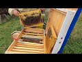 Як зібрати слабку бджолосімю в зиму у вулику лежаку???