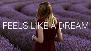 Awakend & Herrin - Feels Like a Dream (feat. Luma)