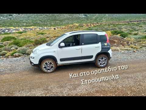 fiat panda off