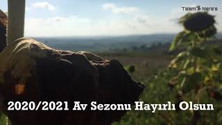 Üveyik, Bıldırcı, Çulluk, Keklik Avları 2020/2021