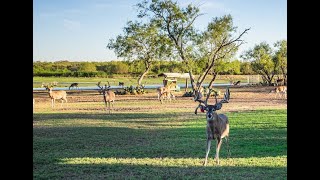 Triple D Ranch | Capitol Ranch Real Estate