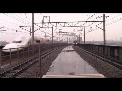 【東北新幹線】E4系MAX重連 埼京線並走→はやて＋つばさすれ違い