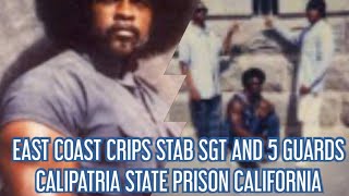 EAST COAST CRIPS RUSH CORRECTIONAL OFFICERS STAB A SGT AND 5 GUARDS CALIPATRIA PRISON IN CALIFORNIA