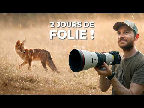 Photo Animalière avec les nouveaux Sony 400mm F4.5 GM et 600mm F6.3 GM