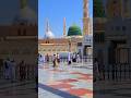 #madina #madinah #madinasharif #madinahlive #madinahalmunawwarah #madinaview #makkah #love #viral