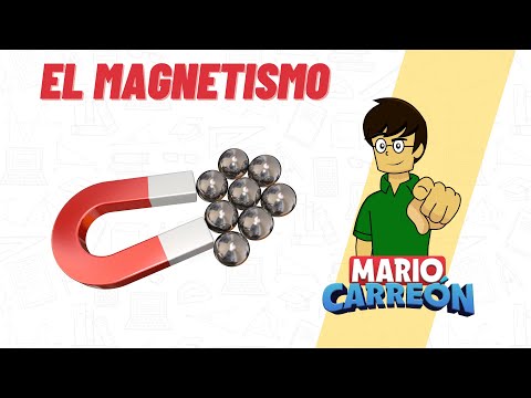 El Magnetismo 🧲