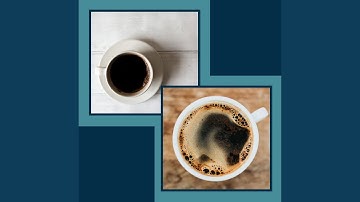 Superlative Ambiance for Freshly Brewed Java