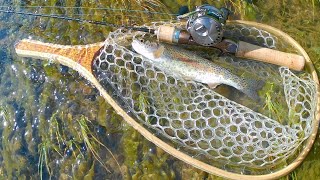 Complete Guide to Single Barbless Hooks Plug Fishing for Trout (Truckee River)