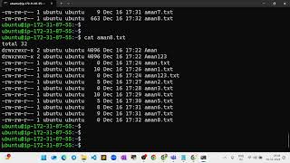 How to create files and directories in linux (mkdir, touch, vi, cp, cat, echo, ls)
