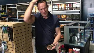 You Heard It Here First - Episode 1 - Why Is My Snake Not Eating Or Pooping?