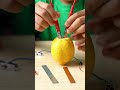 Simple Electrochemical experiment 💡