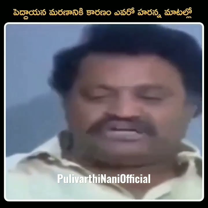 Reason behind Sr NTR death - Harikrishna #srntr #ntr #harikrishna #balayya #chandrababu #naralokesh
