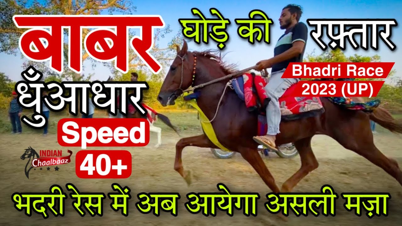 बाबर घोड़े की रफ़्तार धुँआधार SPEED 40+ भदरी रेस में अब आयेगा असली मज़ा Bhadri Race 2023 (UP)