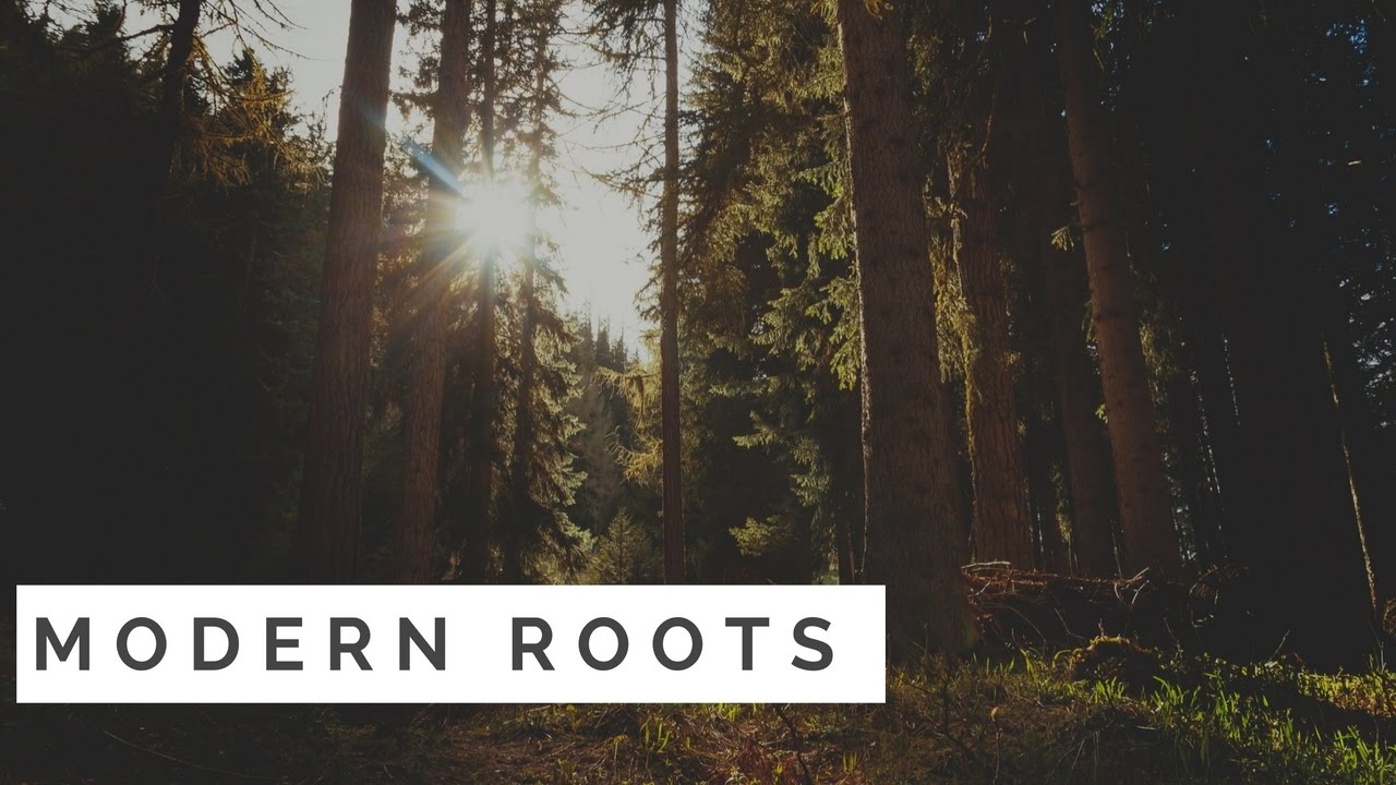 Modern Roots1