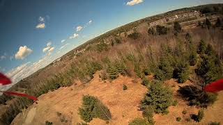 Diatone Gtr349 Hd Test Betaflight 4, One Pack