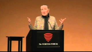 Download lagu What can Christianity offer that positive psychology can t What can Christianity offer that positive psychology can t