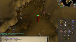 How to get through the "TREE GNOME VILLAGE MAZE" and acquire GLARIAL'S PEBBLE - Oldschool Runescape