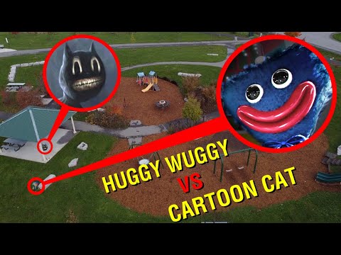 DRONE CATCHES CARTOON