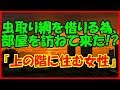 【感動する話 出会い】虫取り網を借りる為、部屋を訪ねて来た！？『上の階に住む女性』【馴れ初め いい話】
