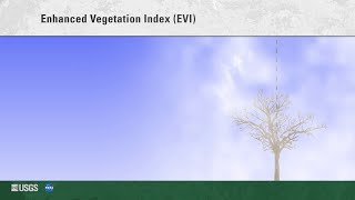 MODIS Vegetation Indices - 2