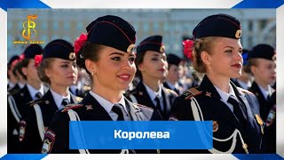 черные береты - королева черные береты - королева