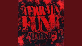 TERRAIN FUNK (Alt Version) - kadyrali, SoulFusi
