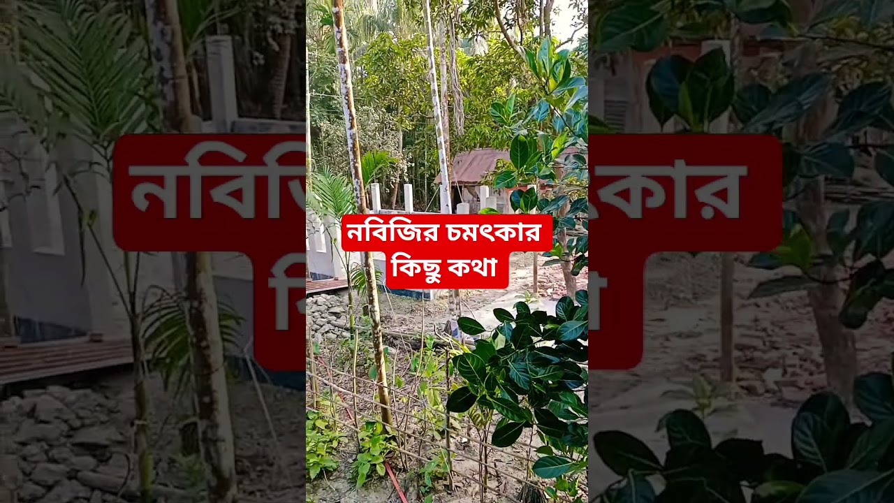 নবিজির চমৎকার কিছু কথা 