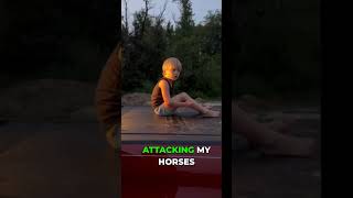He Swore Giant Horseflies Attacked the Horses #farmlife #grandchild #hilarious