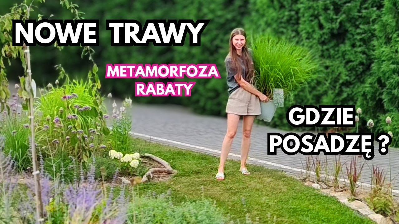 Kupiłam ciekawe odmiany traw ozdobnych. Jak zmieni się wygląd rabaty?