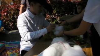 20161217許仁杰Stanly-樂活熊城市嘉年華-4.有要直播親善大使DIY熊熊嗎(幸提供)