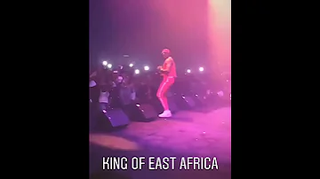 Show ya diamond platinumz ndani ya Dubai (diamond platinumz in Dubai)