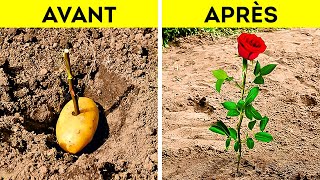 Des Astuces Incroyables Pour Éveiller Le Jardinier Qui Sommeille En Vous