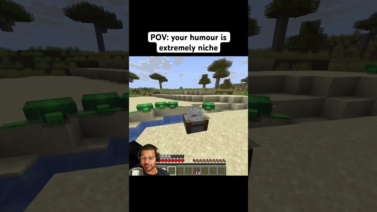 ts type of joke only makes sense to real TMNT fans