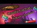 Chaabi Nachat Lhayha شعبي النشاط الحيحة