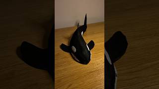 🐋🥹🐬 Making an ORCA for my wall ✨ Cardboard Craft | DIY Shark Tutorial #cardboard #diy #craft