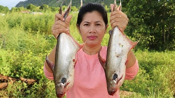 Cooking Big Pangasius -  Fish With Fresh chili pepper Fruit Recipe - Village Food Factory