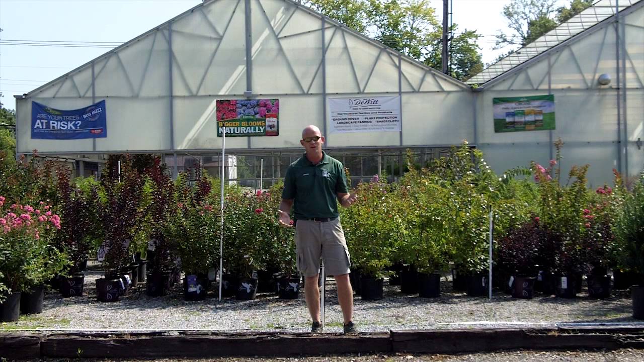 FRANK OTTE Labor Day Super Sale - YouTube