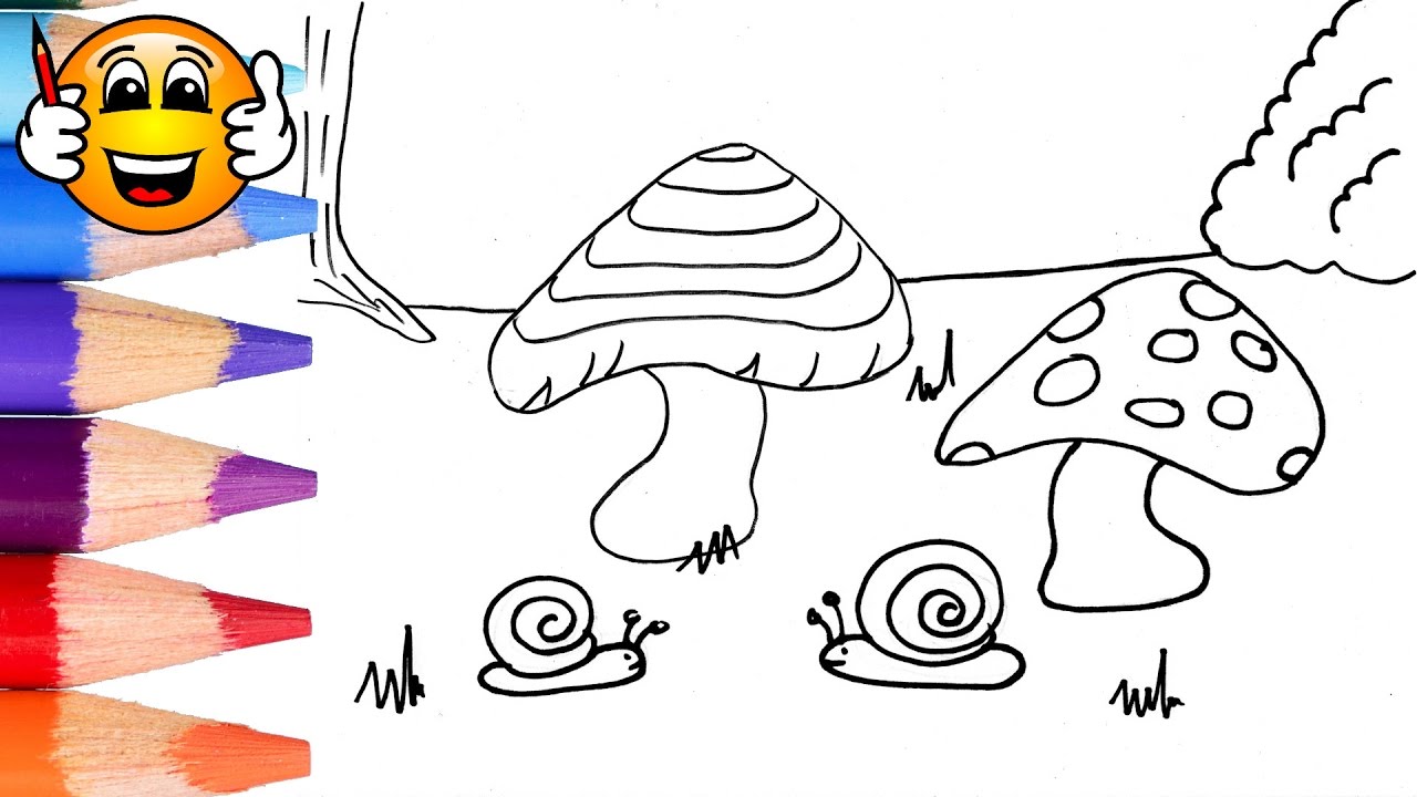 Coloring Pages For Kids Snail Mushroom Coloring For Kids Bibabibo Youtube