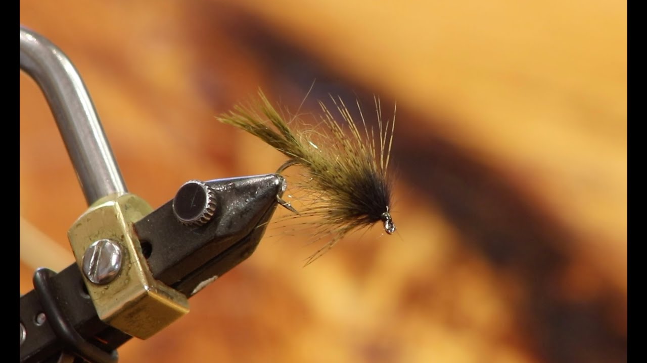 casual dress fly pattern Tying the Casual Dress with Kelly Galloup