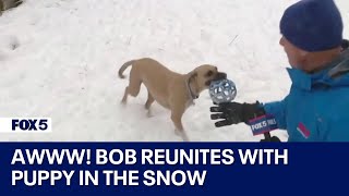 Reporter Bob Barnard reunites with puppy from viral live weather report