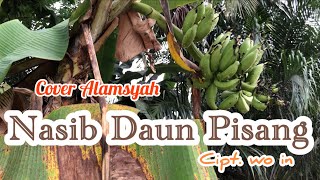 Nasib Daun Pisang || Cover Alamsyah || Cipt Wo in || Lagu Jambi