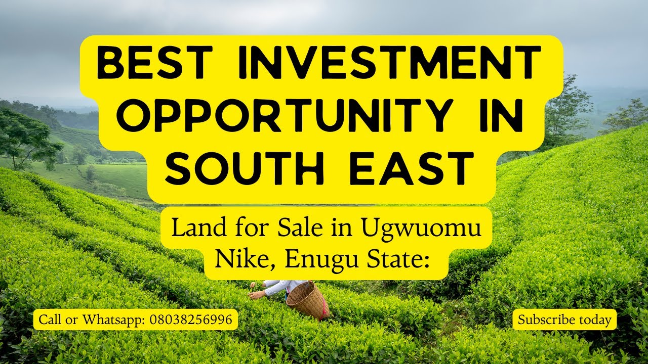 Best Real Estate Investment in South-East Nigeria | Land for Sale in Ugwuomu Nike, Enugu State: