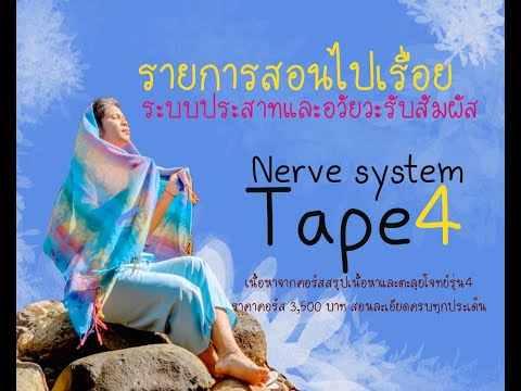 รายการสอนไปเรื่อยรายการเรียนออนไลน์ I เทปที่ 4 - เซลล์ประสาทและการทำงานของเซลล์ประสาท