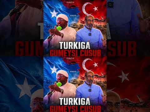Turkiga ma gumeystaa Soomaaliya? Xaqiiqda qarsoon